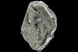 Prasiolite (Green Quartz) Geode With Metal Stand - Uruguay #107716-1